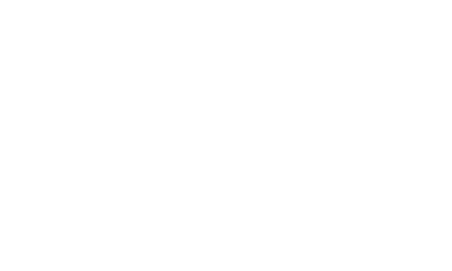 US Army